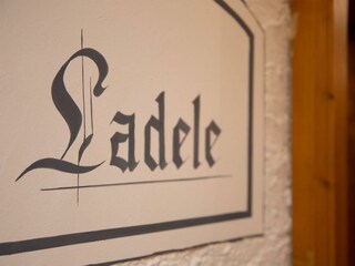 (c)-Victoria-Hoertnagl-FW9A5040