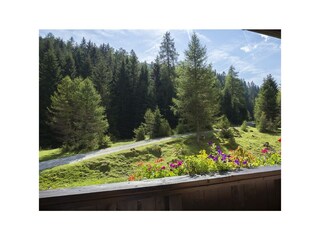Lärchenwald-Gästehaus Geir-Obernberg-Balkon-HDR (2