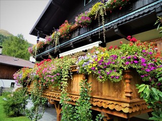 DSC01199 Gästehaus Geir-Foto Geir-web-Sommer