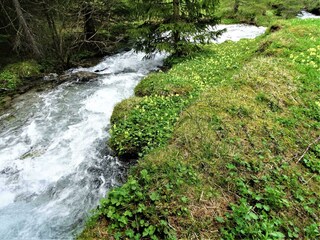 Obernbergerbach-Foto Gästehaus Geir