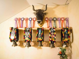 Alfaierhof (75 von 111)