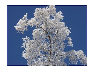 Winteridylle