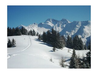 am Hochgeneinerjöchl mit Blick z. Olperer