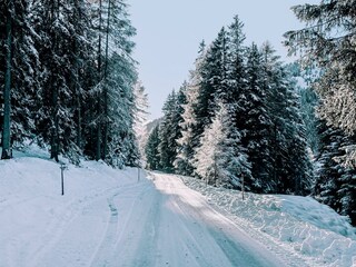 Wolf-Apartments-verschneite-Strasse-Wintereinbruch