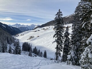 Navis im Winter