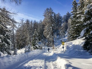 Winterwandern-Obernberg-Leite (3)-2