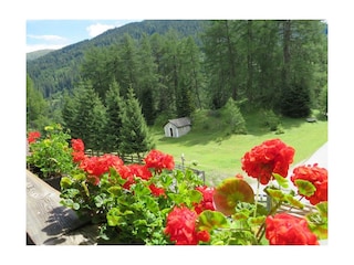 Waldbauer_Kabelle_Lourdes_ vor den Haus