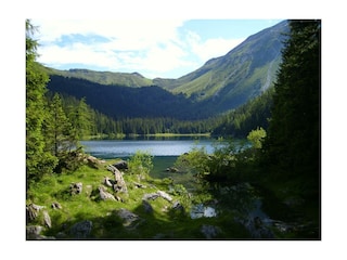 Haus_Waldbauer_Obernberger- See