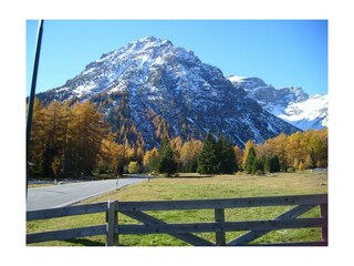 Haus_Waldbauer_ Berg_Tribulaun