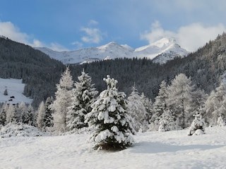 Haus-Waldbauer_im Winter (4)