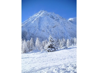 Haus_Waldbauer_vom Balkon_ Berg Tribulaun