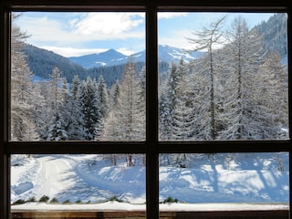 Haus-Waldbauer_im Winter (2)