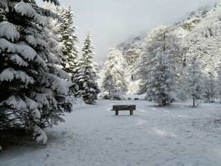 Haus-Waldbauer_im Winter (3)