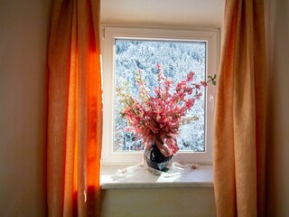 Gasthof Alpenrose Gschnitz (12)