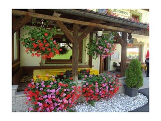 Blumen vor dem Haus