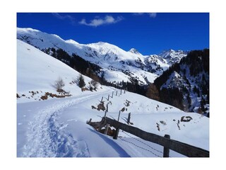 Victoria Hoertnagl (38 von 70)