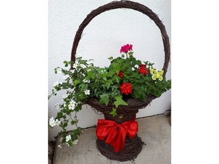 Blumenkorb