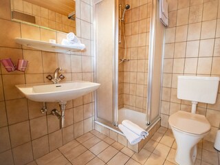 Gasthof Alpenrose Gschnitz (17)