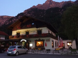 Alpenrose bei Abenddämmerung