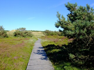 Bohlenweg zum Strand