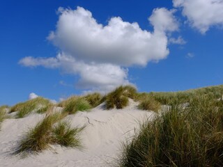 Amrumer Dünen