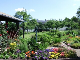Blick in den Garten