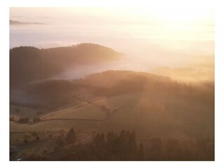 Ferienhaus Altscheid Umgebung 13
