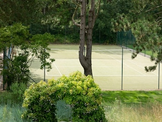 Vakantiehuis St. Peter-Ording  42