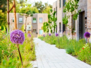 Ferienhaus St. Peter-Ording Außenaufnahme 6