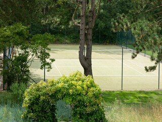 Casa per le vacanze St. Peter-Ording  24