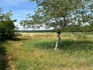 Parc de vacances De Bult Environnement 21