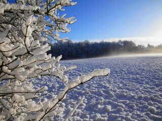 Vakantiepark De Bult Omgeving 12