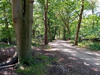 Parc de vacances De Bult Environnement 15