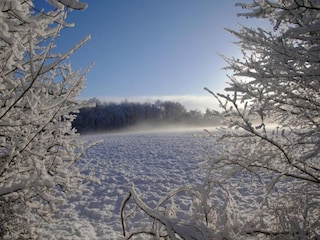 Parc de vacances De Bult Environnement 21
