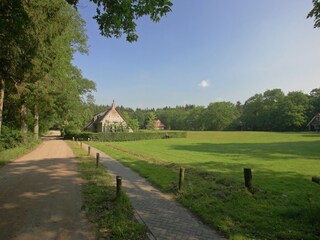 Vakantiepark De Bult Omgeving 14