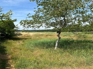 Parc de vacances De Bult Environnement 15