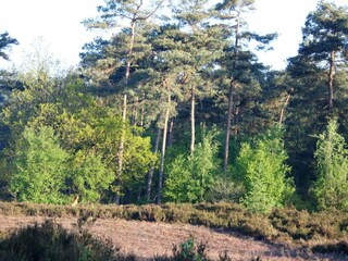 Parc de vacances De Bult Environnement 13