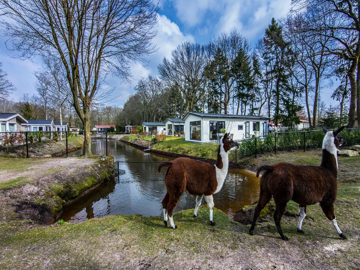 Ferienpark De Bult Außenaufnahme 2