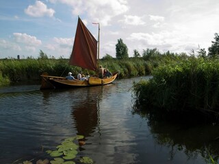 Vakantiepark De Bult Omgeving 8