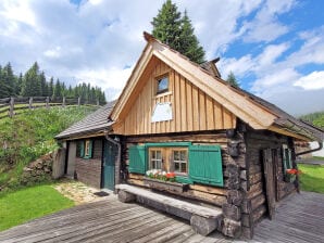 Ferienhaus Hütte Lachtal - Schönberg-Lachtal - image1