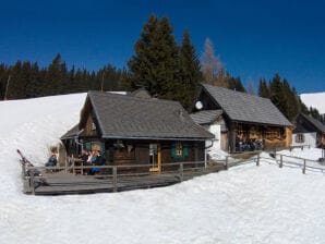 Ferienhaus Hütte Lachtal - Schönberg-Lachtal - image1