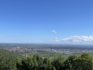 Die Rheinebene