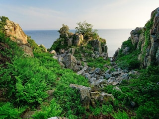 Parc de vacances Gudhjem  21