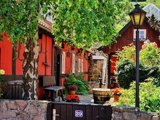 Holiday park Gudhjem  8