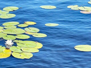 Vakantiehuis Bodafors Buitenaudio-opname 9