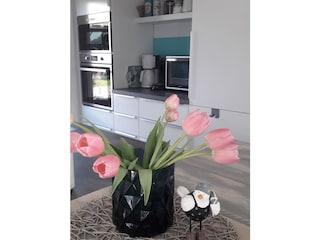 Vakantiehuis Julianadorp Kenmerken 16