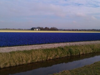 Casa per le vacanze Julianadorp Ambiente 34