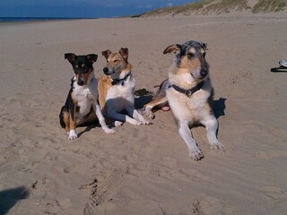 Holiday house Julianadorp Environment 36