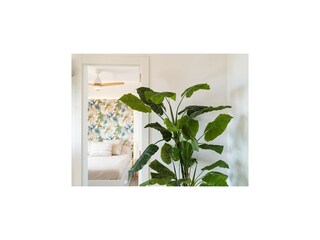Appartement Vícar Kenmerken 11