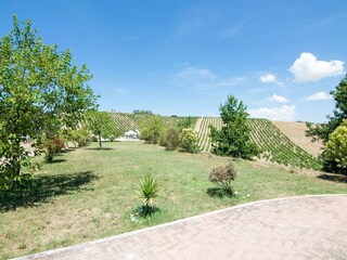 Apartment Acquaviva Picena Environment 26